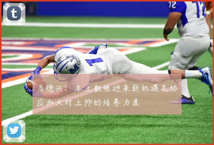 马德兴：本土教练迎来新机遇足协应加大对土帅的培养力度