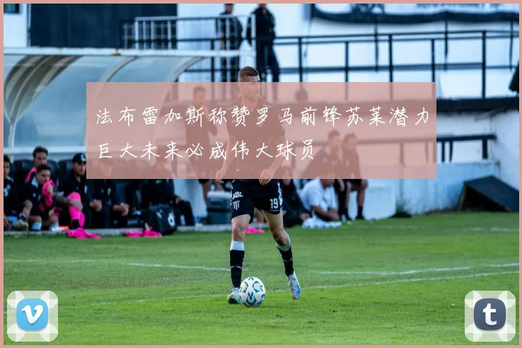 法布雷加斯称赞罗马前锋苏莱潜力巨大未来必成伟大球员